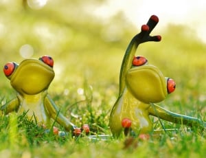 Meadow, Yoga, Animal, Figure, Frogs, green color, grass thumbnail