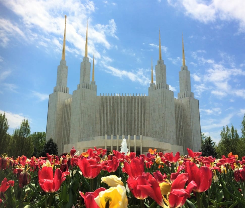 Temple, Lds, Latter-Day, Saints, Mormon, architecture, cloud - sky preview