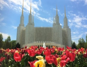 Temple, Lds, Latter-Day, Saints, Mormon, architecture, cloud - sky thumbnail