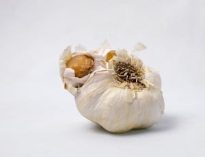 white garlic thumbnail