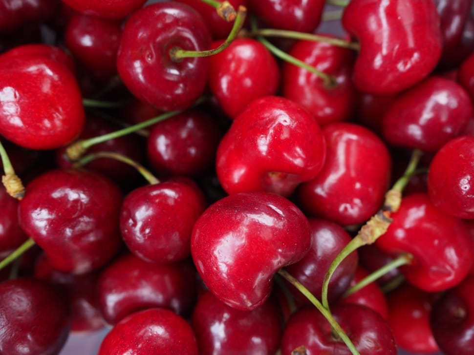 cherry fruit preview
