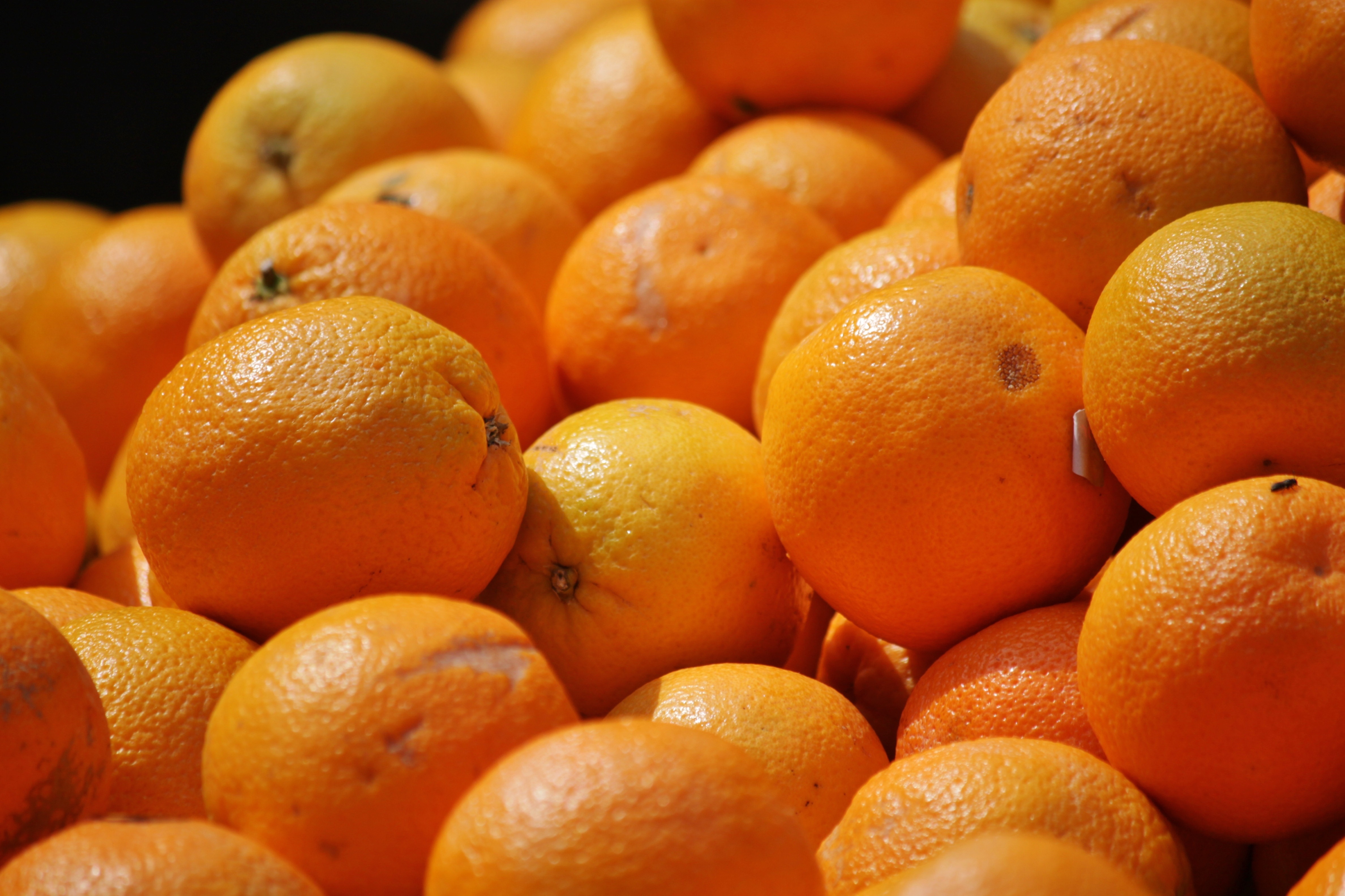 orange citrus round fruit lot