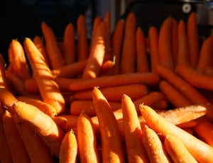 carrots thumbnail