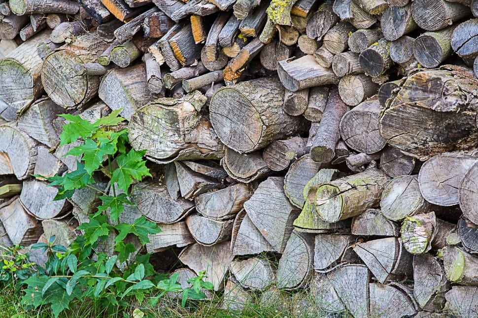 close of photo of pile of firewood preview