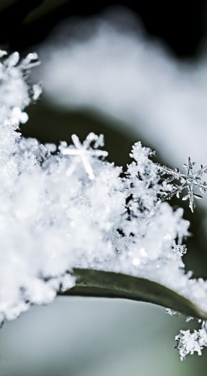 snow flakes thumbnail