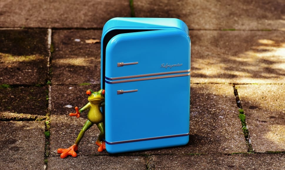 green frog on blue tin box preview
