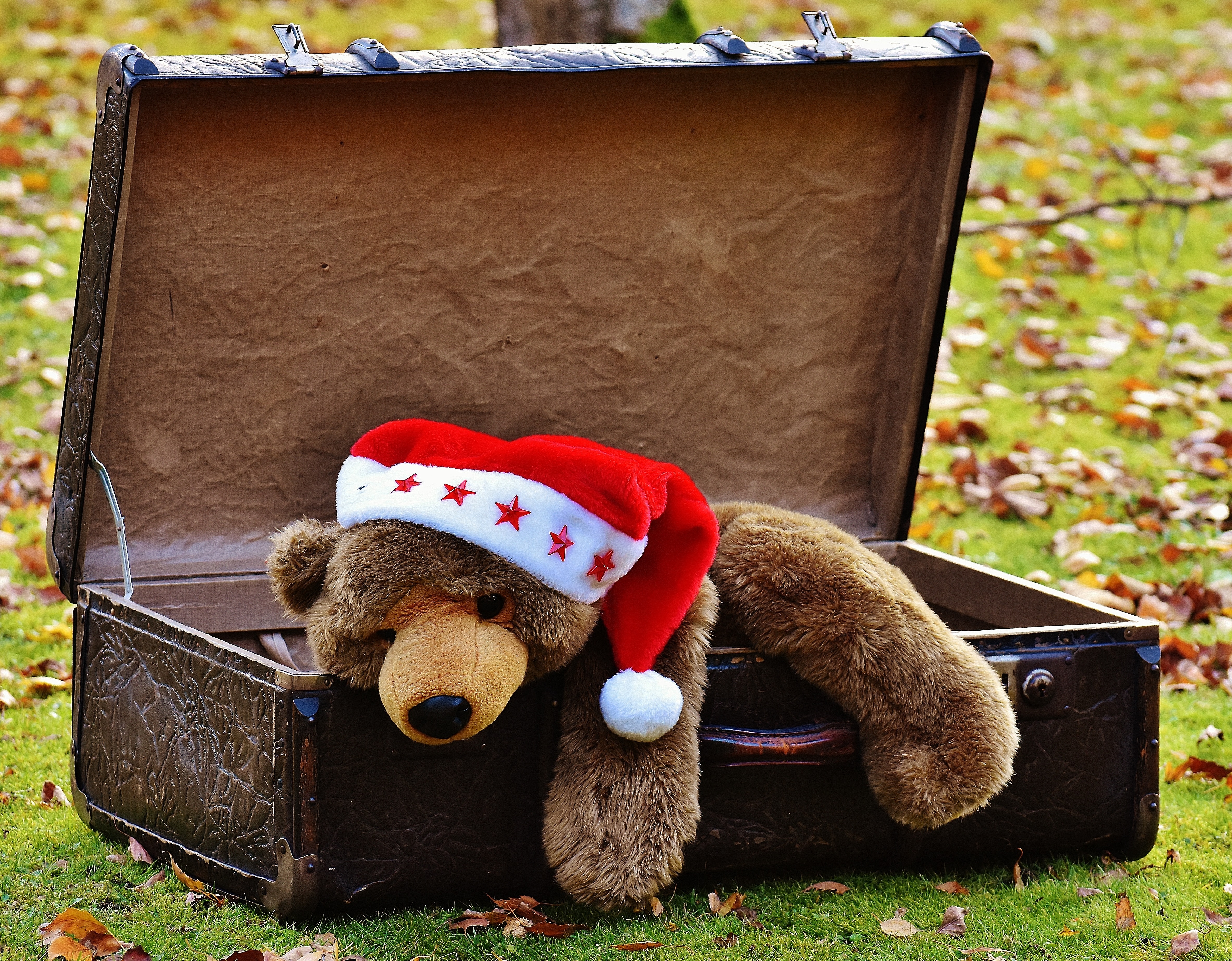 brown bear plush toy in luggage