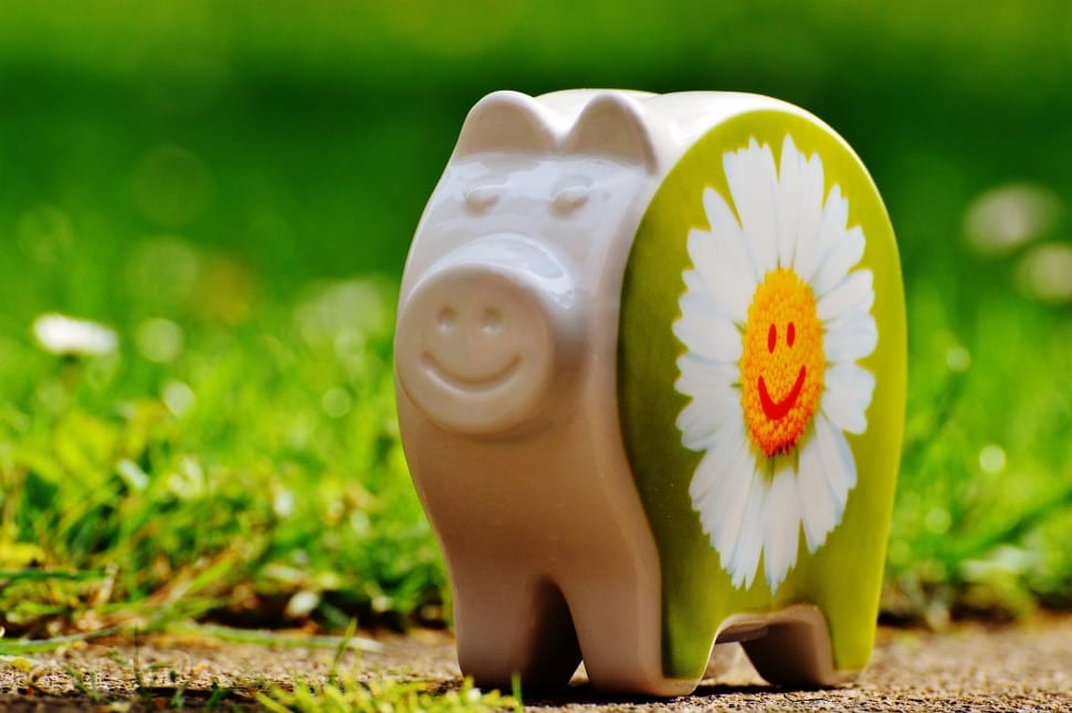 Good Mood, Smiley, Funny, Piggy Bank, grass, day preview