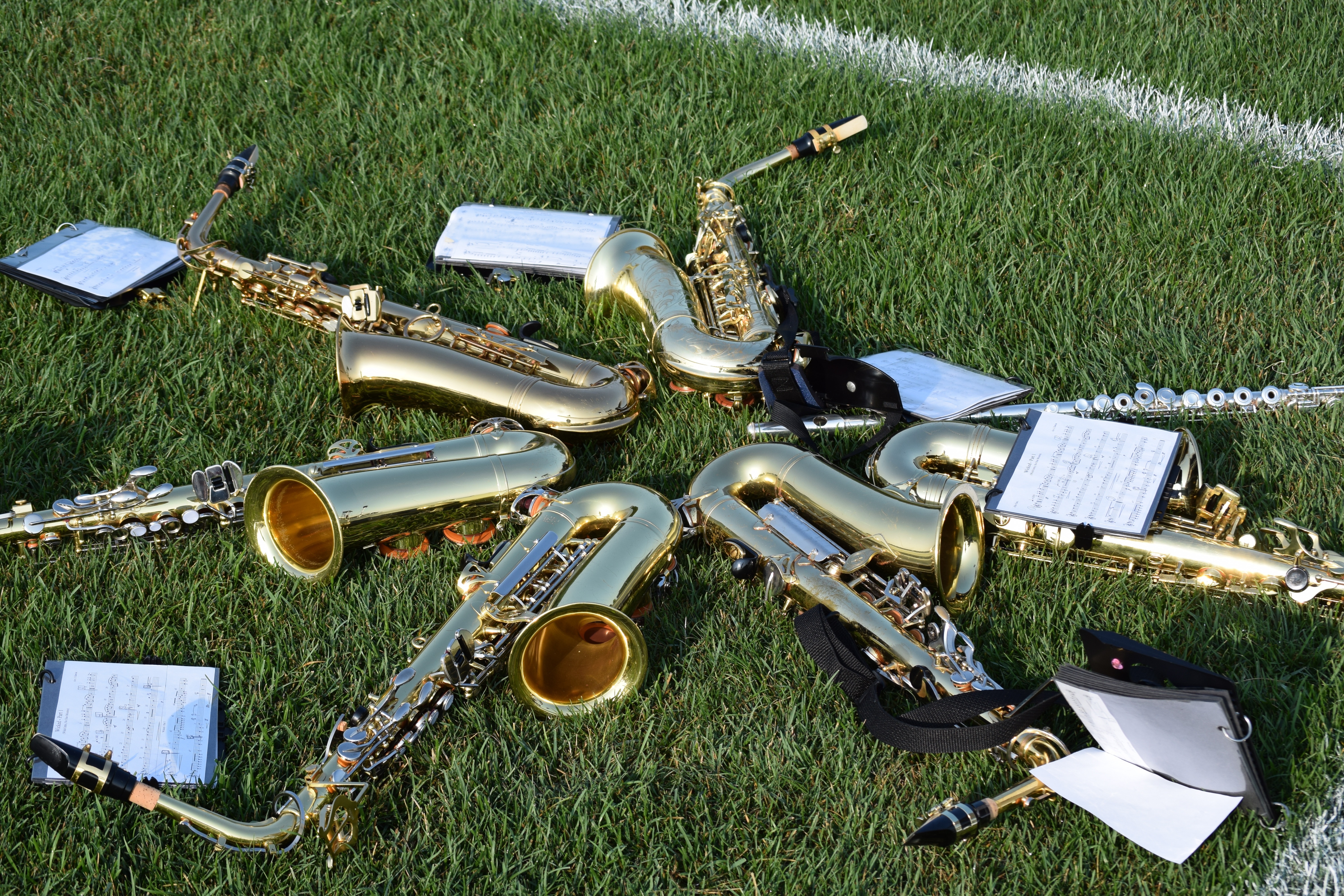 Music, Band, Musical, Instruments, grass, no people