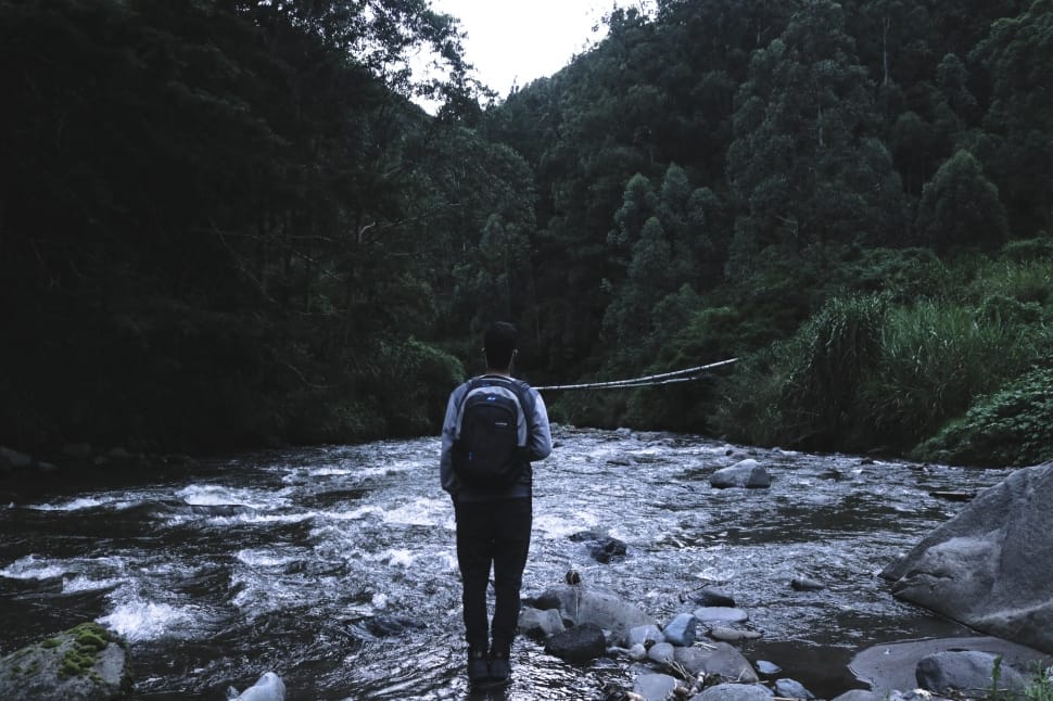 person with backpack standing on river in middle of forest during daytime preview