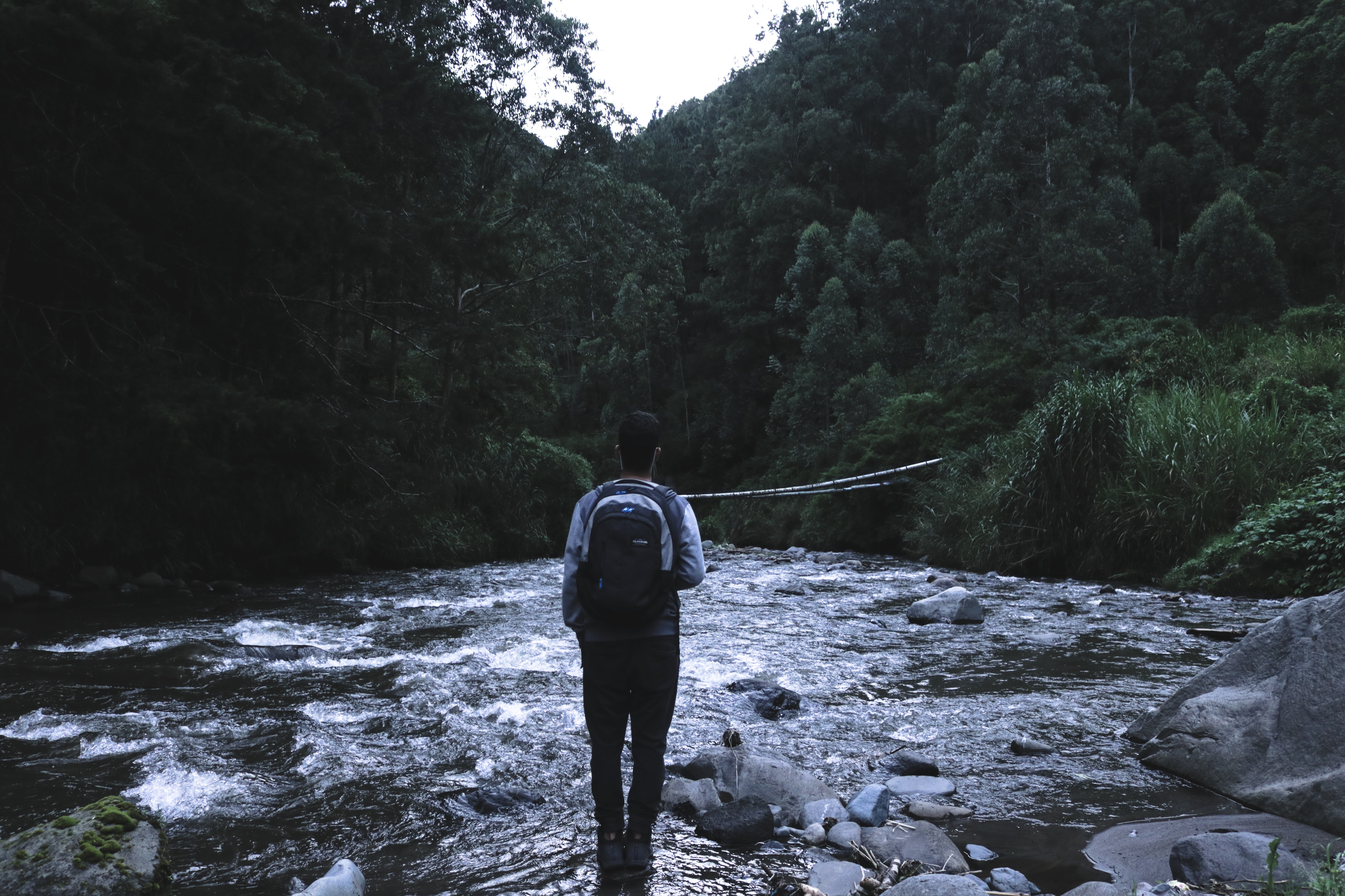 person with backpack standing on river in middle of forest during daytime