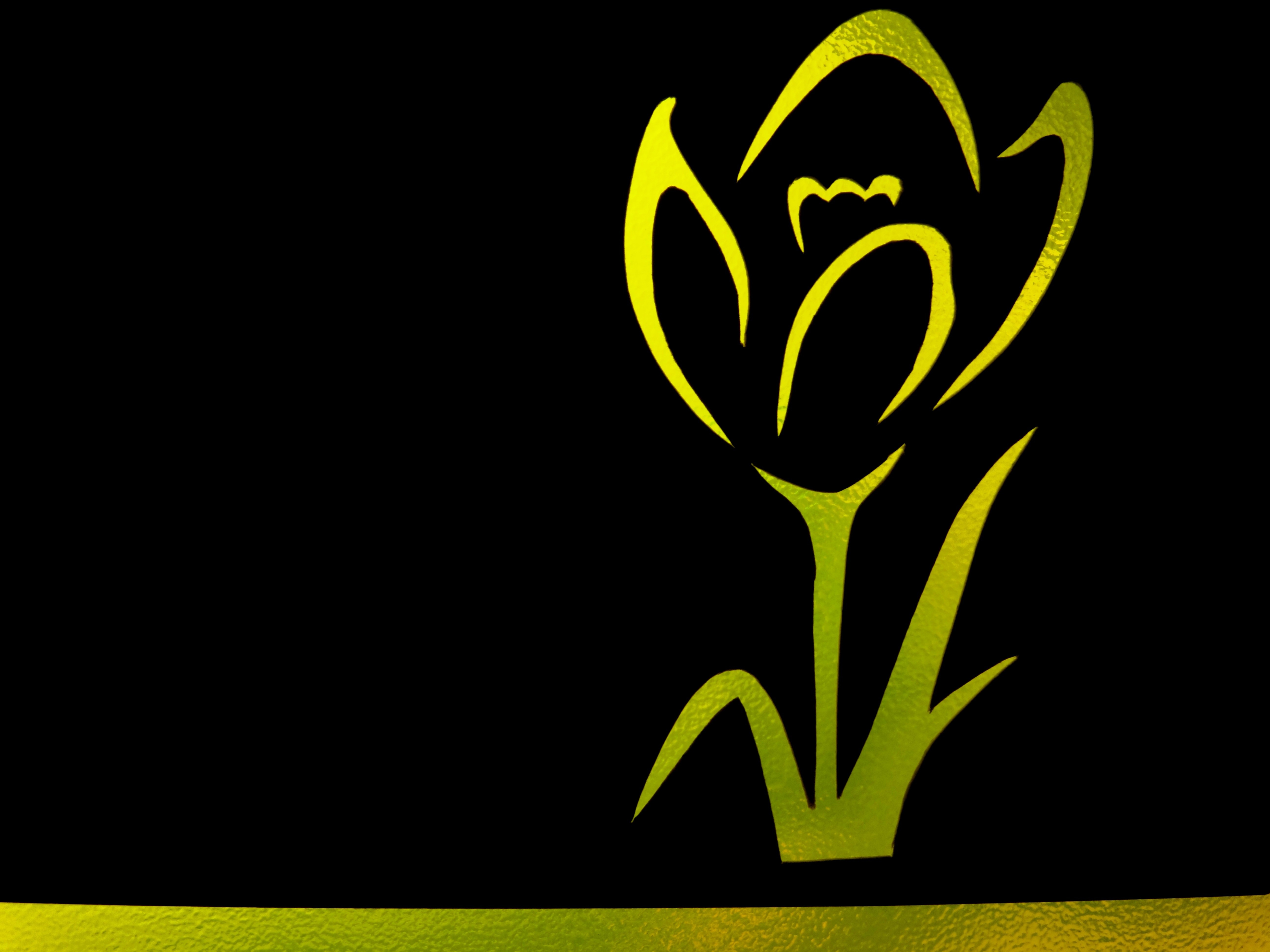 yellow flower illustration