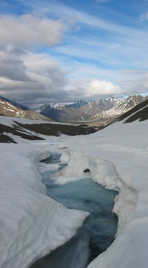 Alaska, Denali National Park, Winter, scenics, nature thumbnail