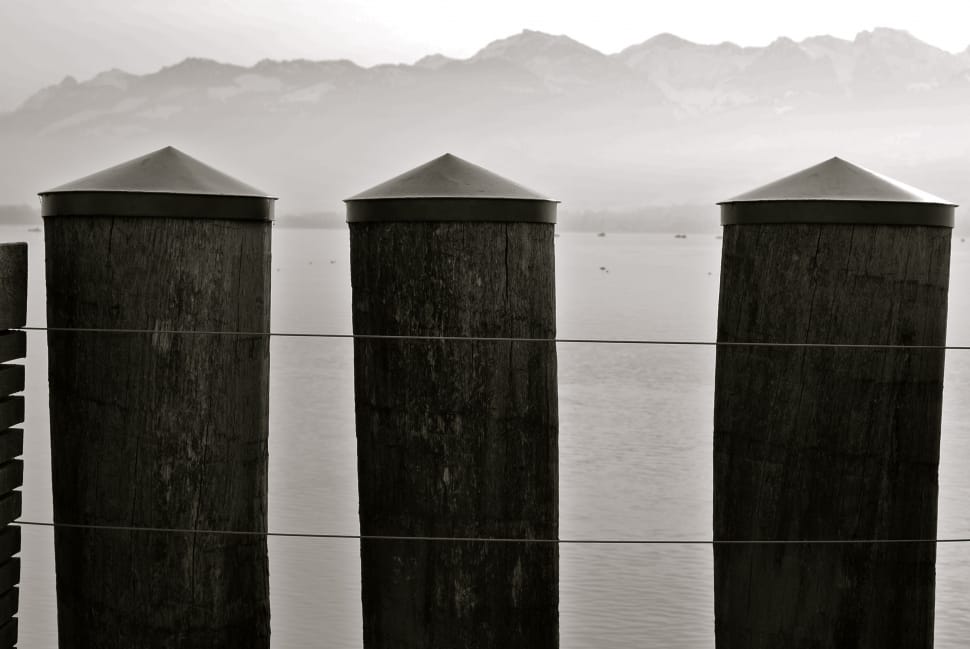 3 wooden posts near sea greyscale photo preview