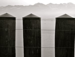 3 wooden posts near sea greyscale photo thumbnail