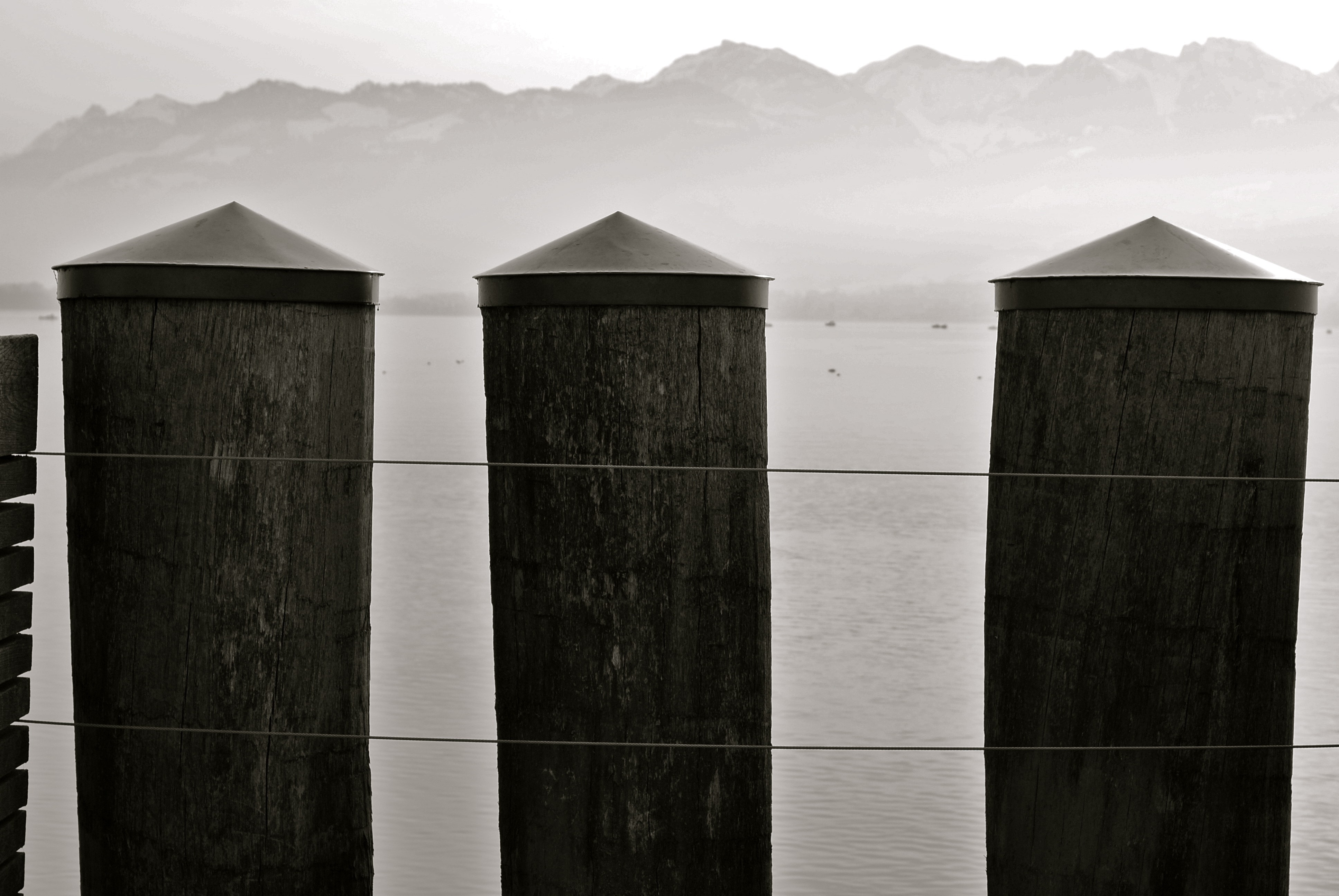 3 wooden posts near sea greyscale photo