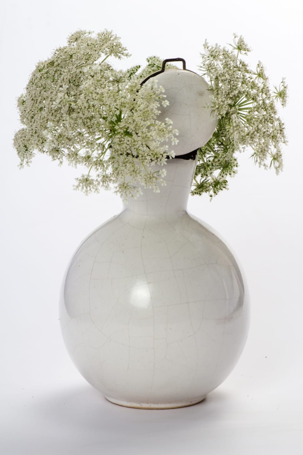 Vase, Still Life, Flowers, Wild Flower, studio shot, white background preview