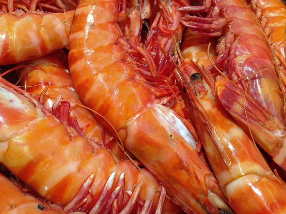 Shrimp dish preview