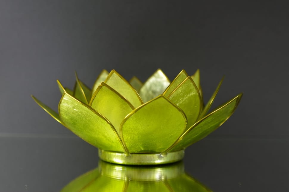 Water Lily, Glass, Decoration, Green, green color, studio shot preview