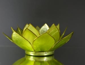 Water Lily, Glass, Decoration, Green, green color, studio shot thumbnail