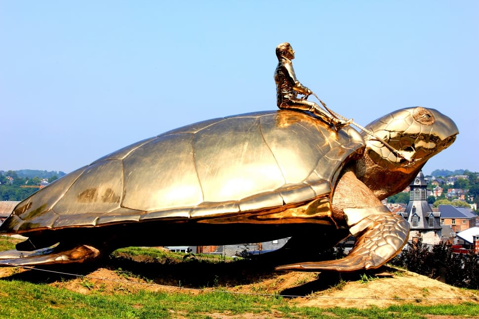 man riding turtle statute preview
