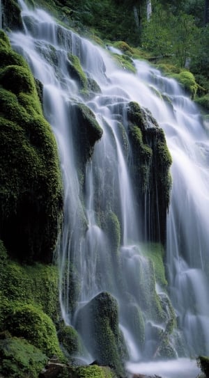 waterfalls and green trees during daytime thumbnail