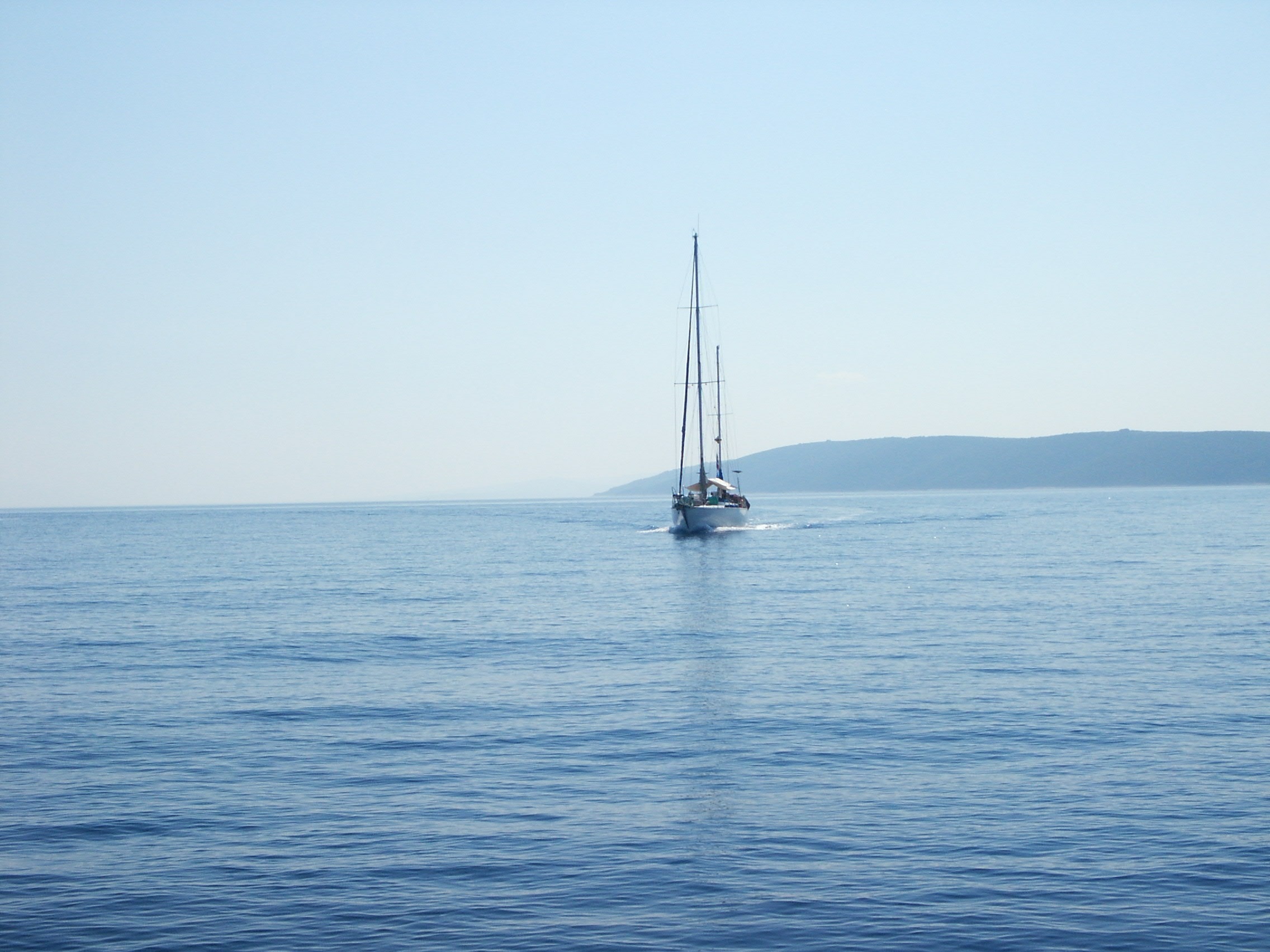 white sail boat