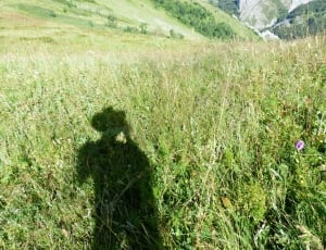 shadow of person wearing cowboy hat on green grass thumbnail