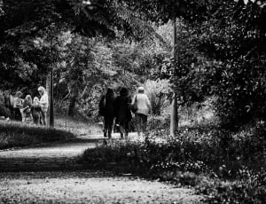 greyscale photo of people walking in the park during daytime thumbnail