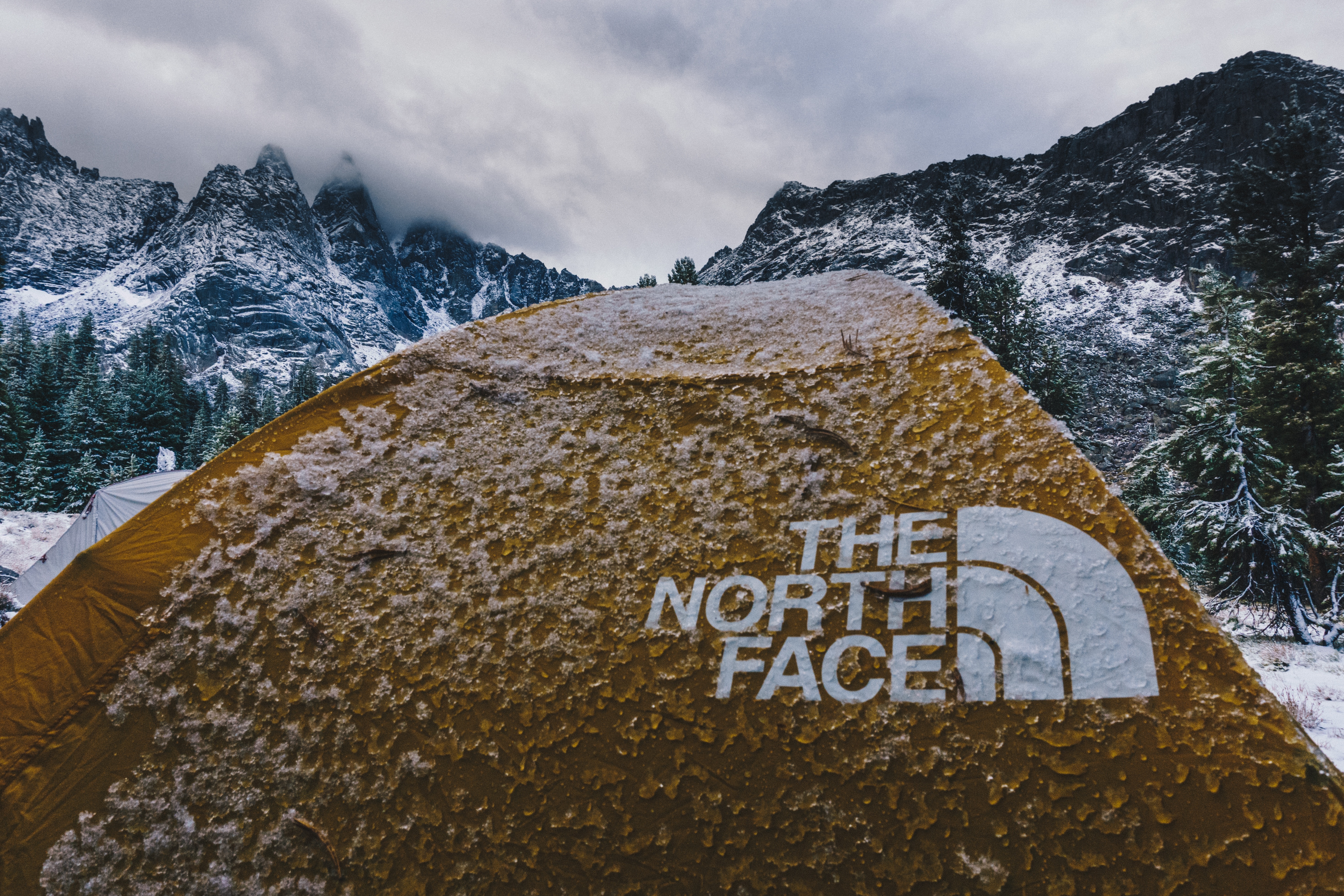 beige The North Face tent