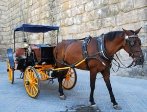black and yellow horse carriage thumbnail