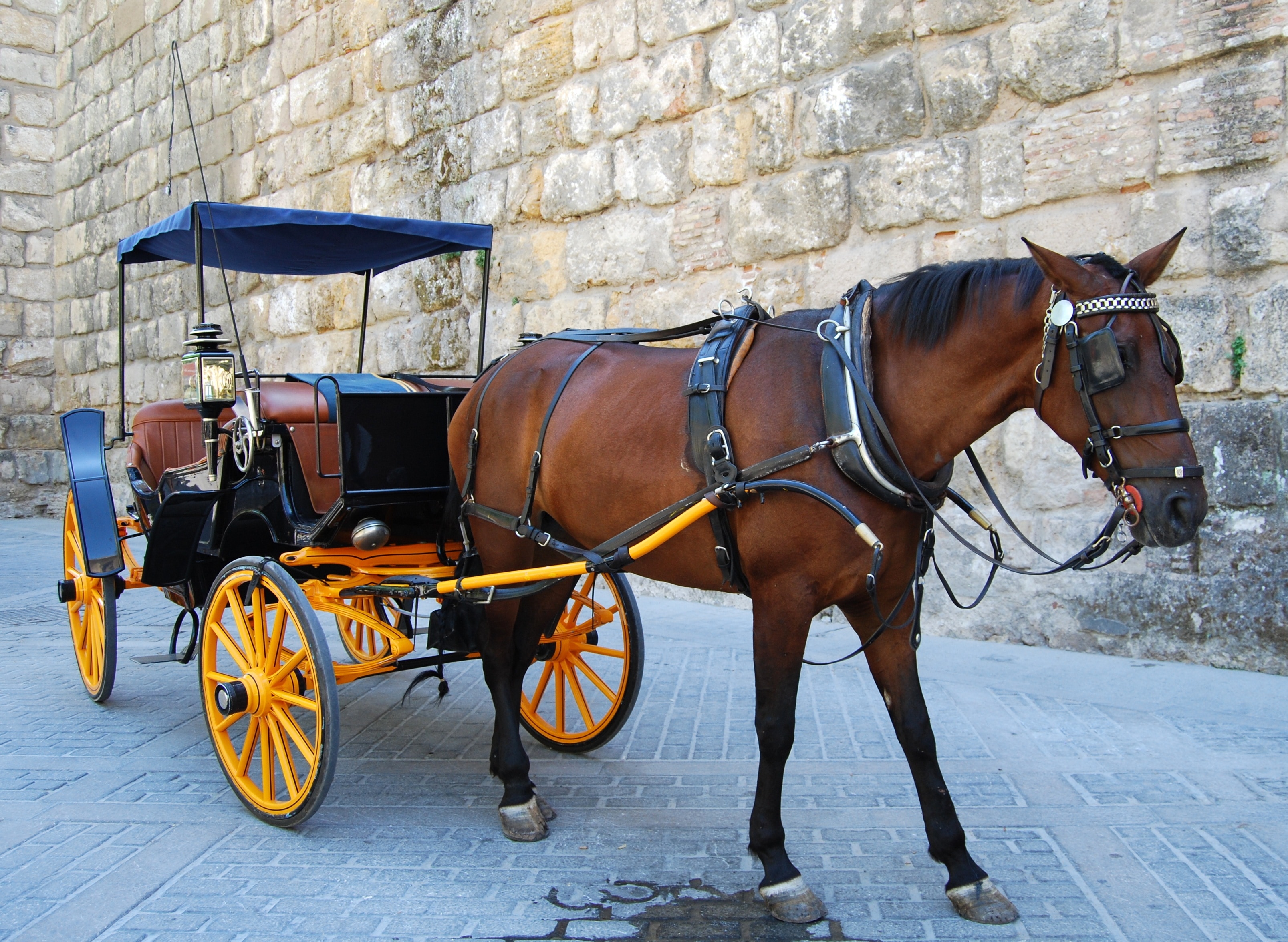black and yellow horse carriage
