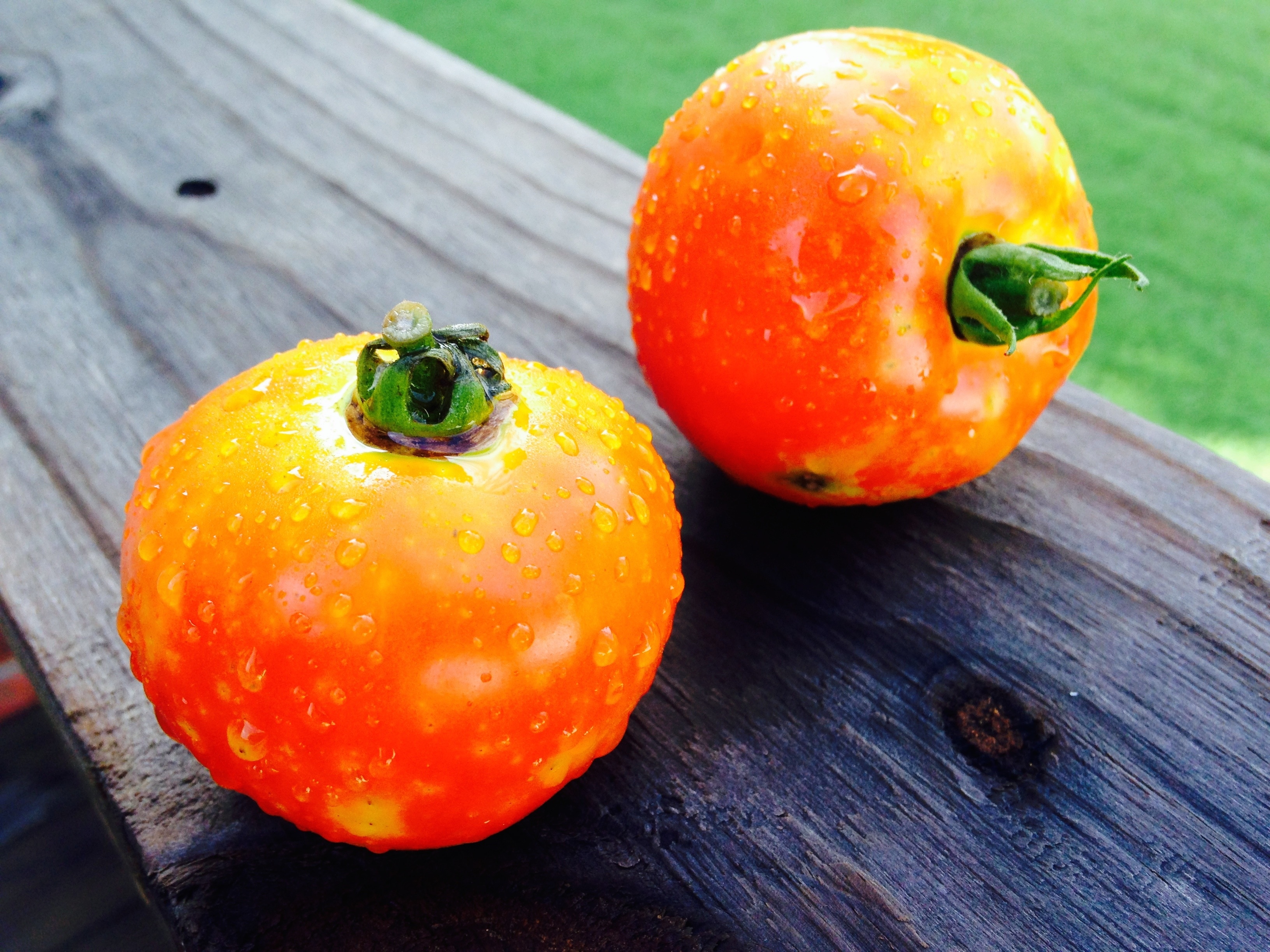 2 orange round fruits