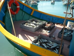 Port, Marsaxlokk, Malta, Fishing, nautical vessel, transportation thumbnail