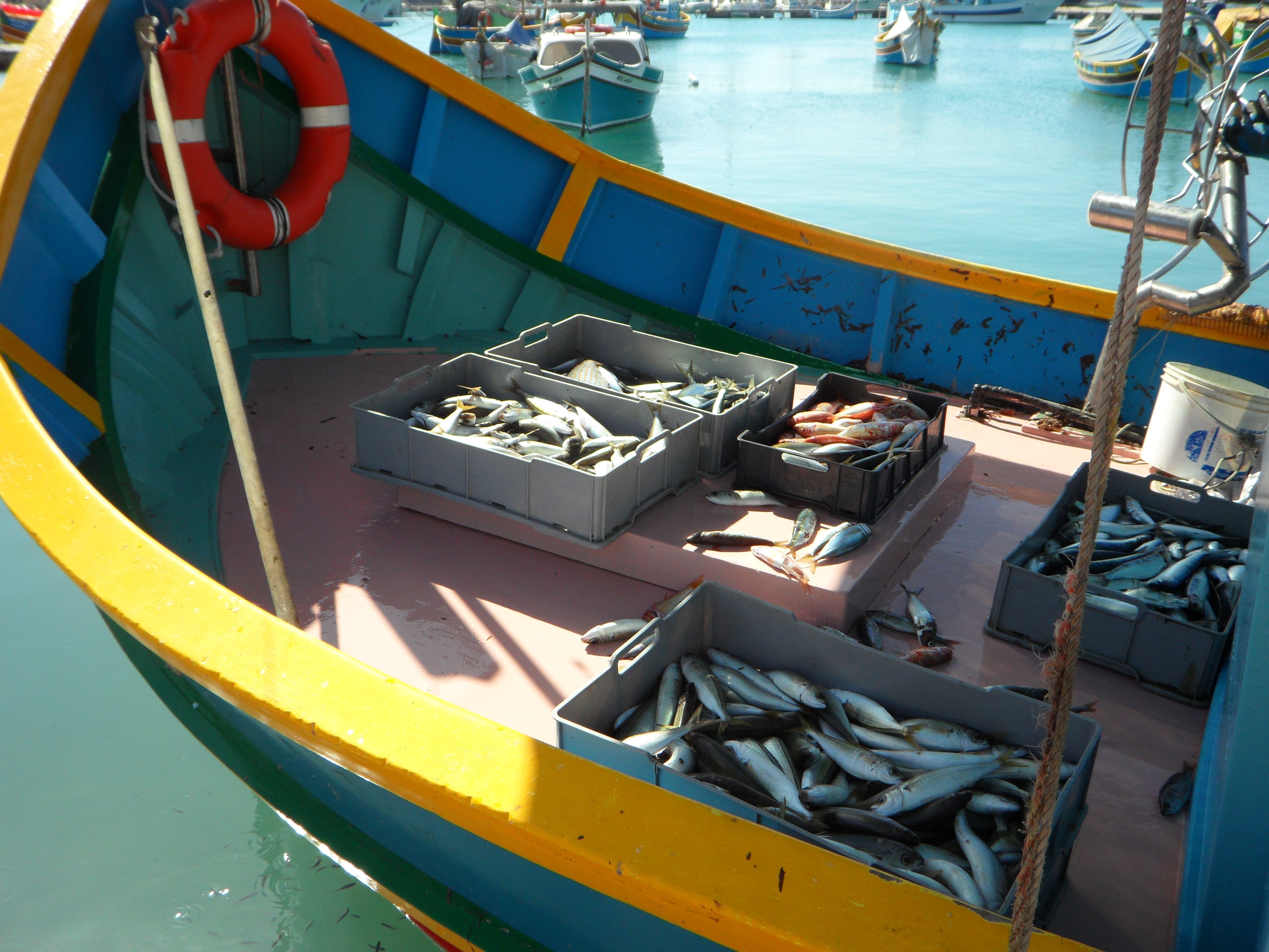 Port, Marsaxlokk, Malta, Fishing, nautical vessel, transportation