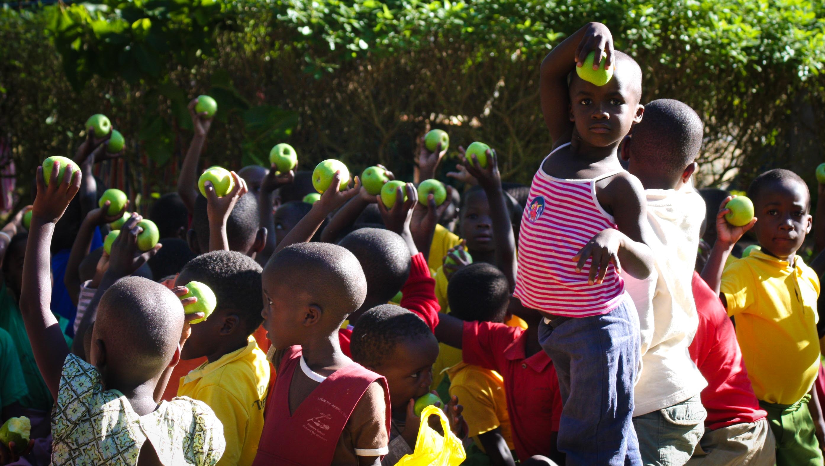 cluster of children holding green round fruit