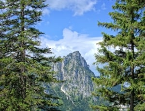 photo of rocky mountain surrounded with trees thumbnail