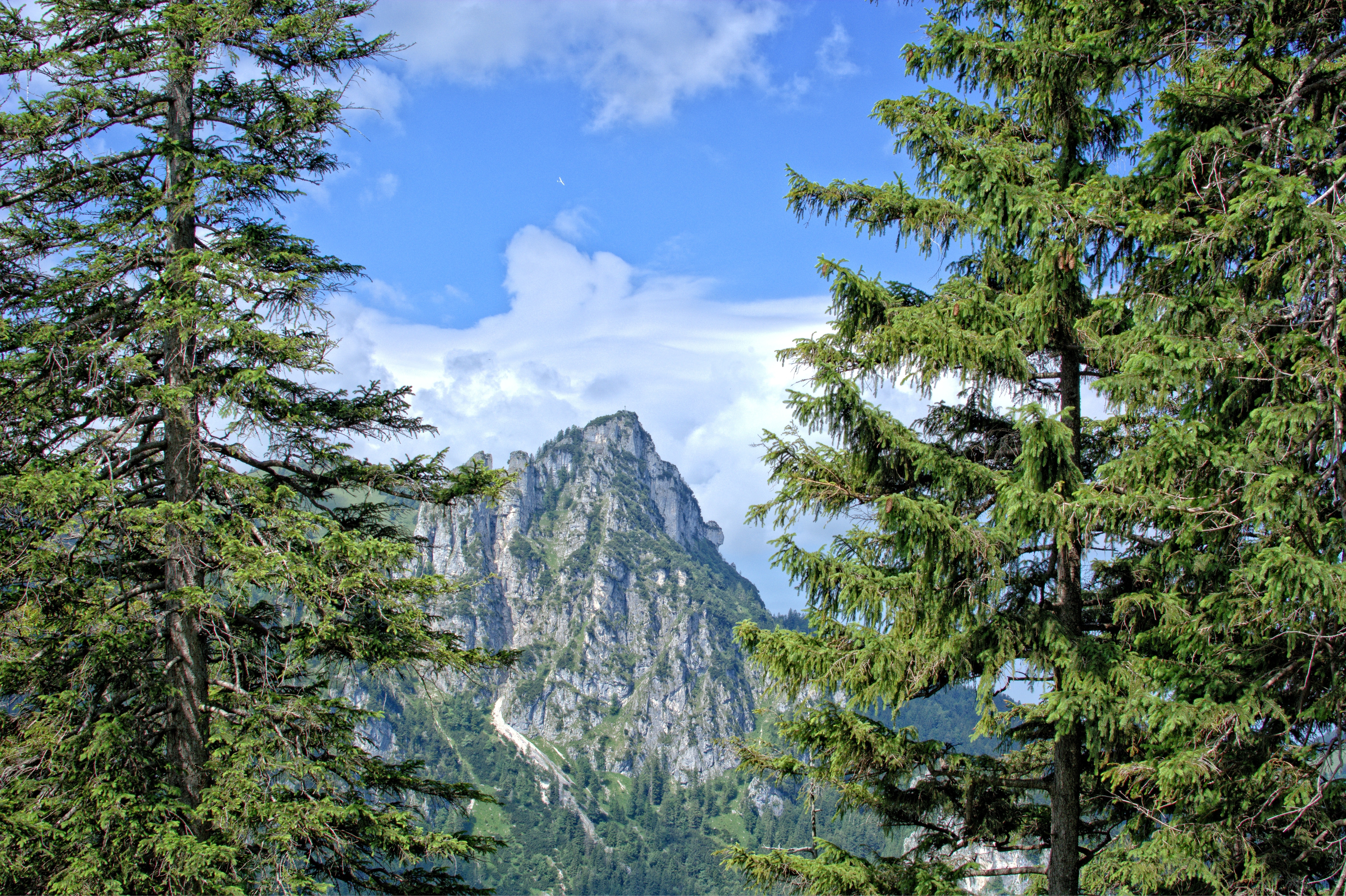 photo of rocky mountain surrounded with trees