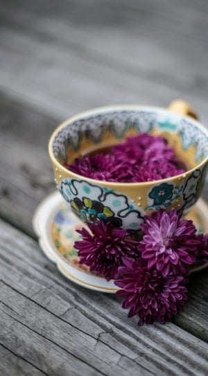 white and yellow ceramic cup with purple petaled flower in int thumbnail