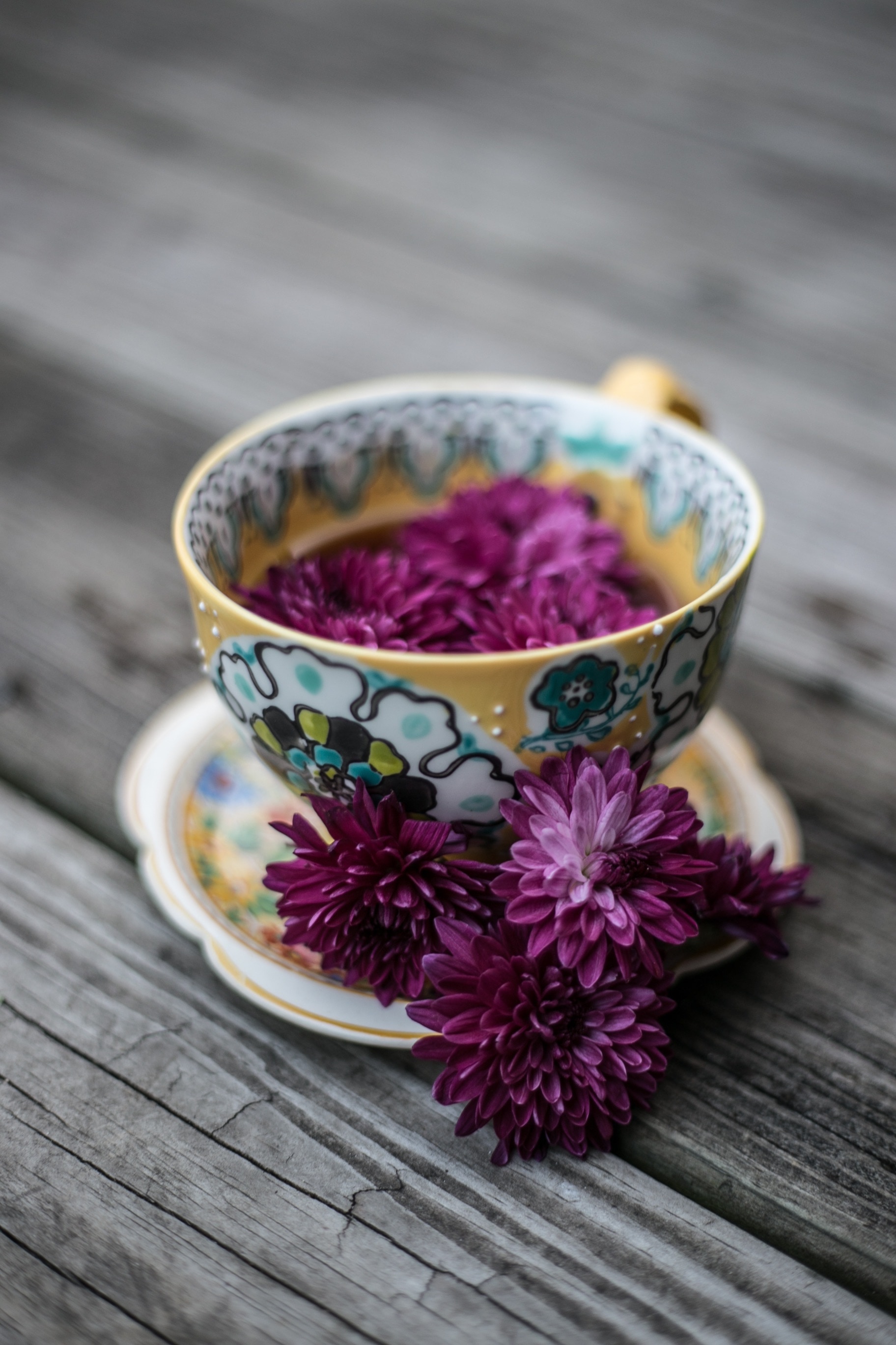 white and yellow ceramic cup with purple petaled flower in int