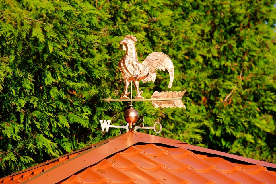brown rooster wind vane preview