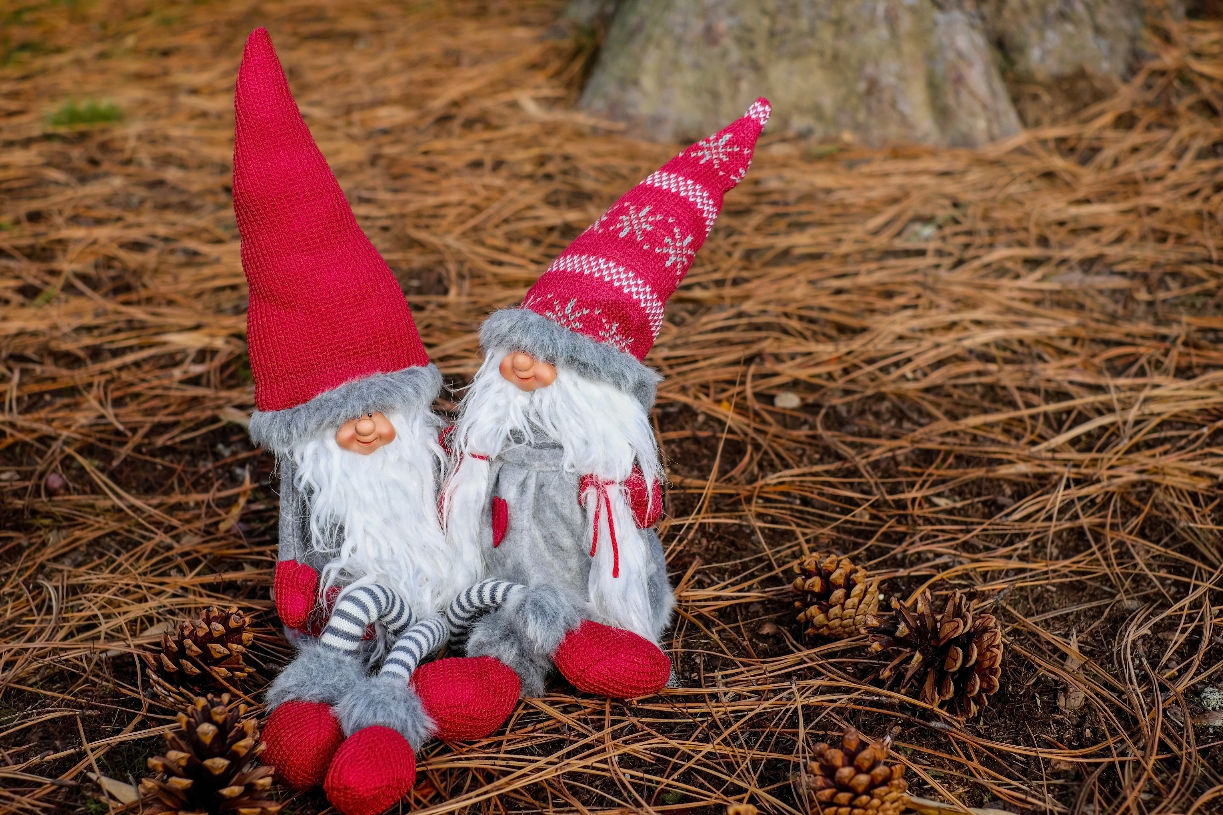 two dwarf in red hat plush toy