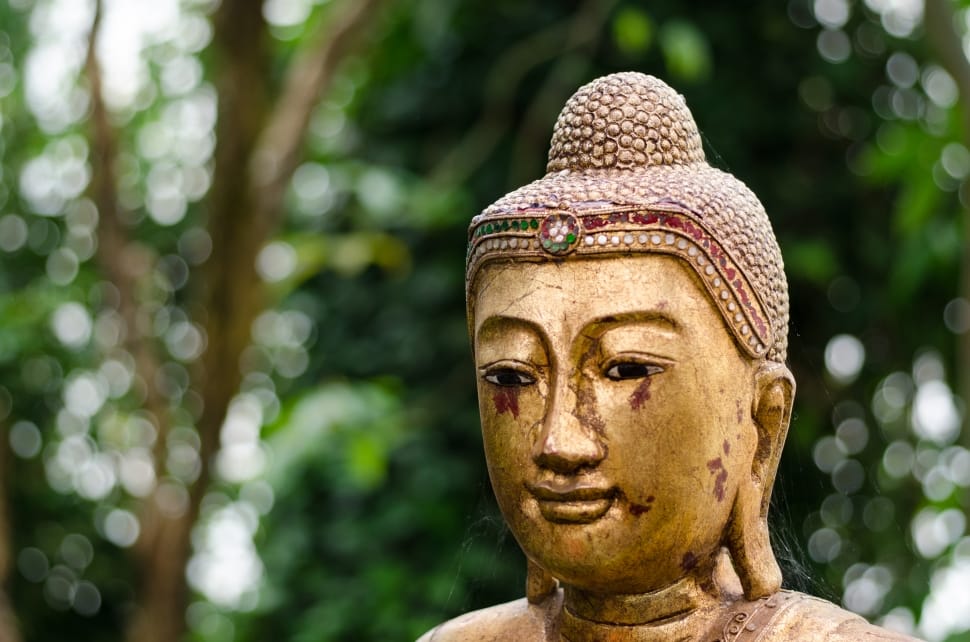 brass buddha's head in daytime preview
