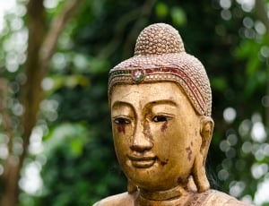 brass buddha's head in daytime thumbnail