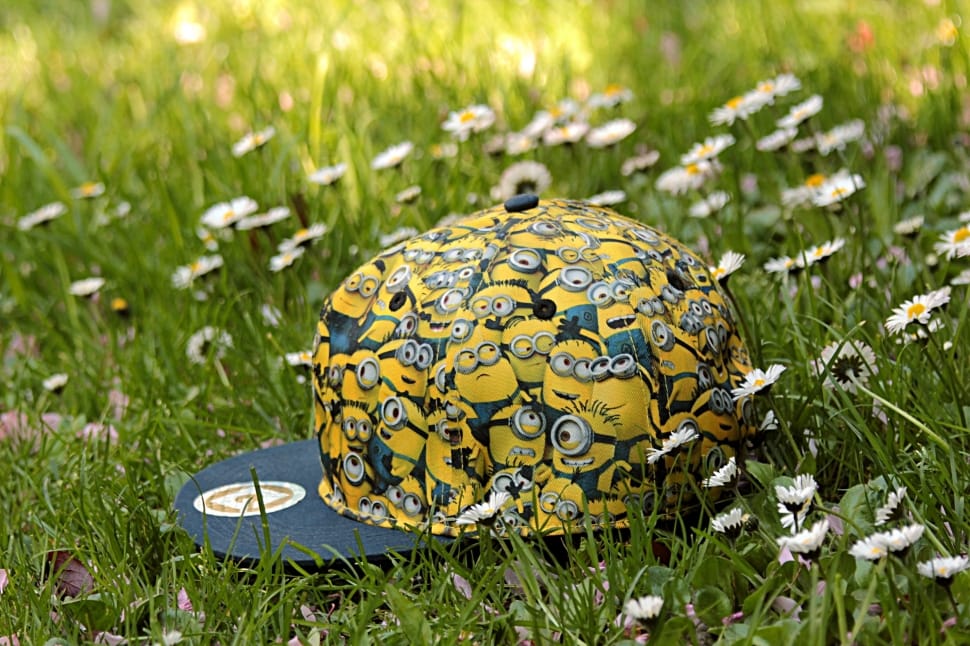 minion doodle themed snapback on green grass preview