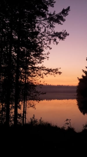 silhouette of trees and lake thumbnail