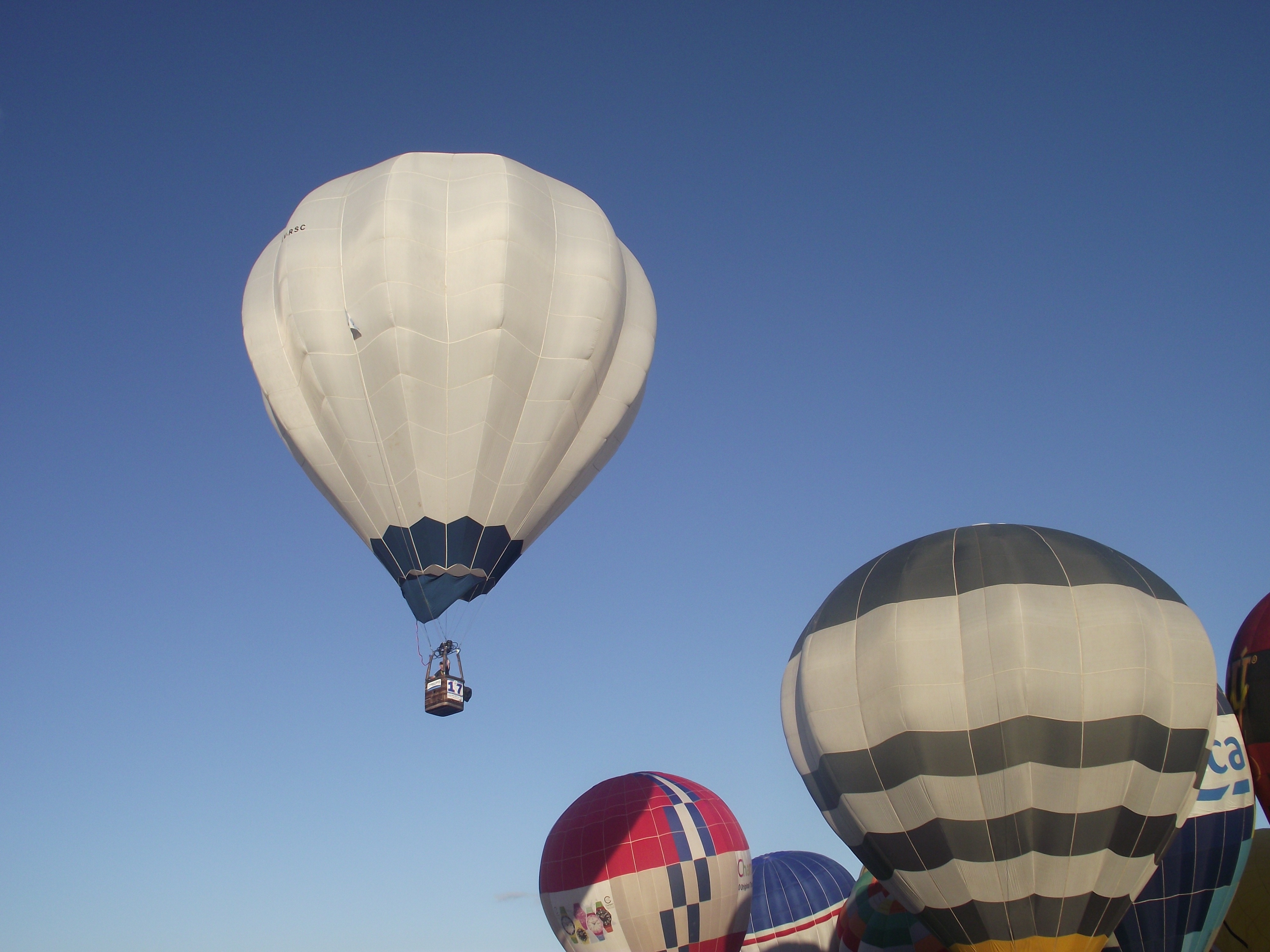 assorted hot air balloons