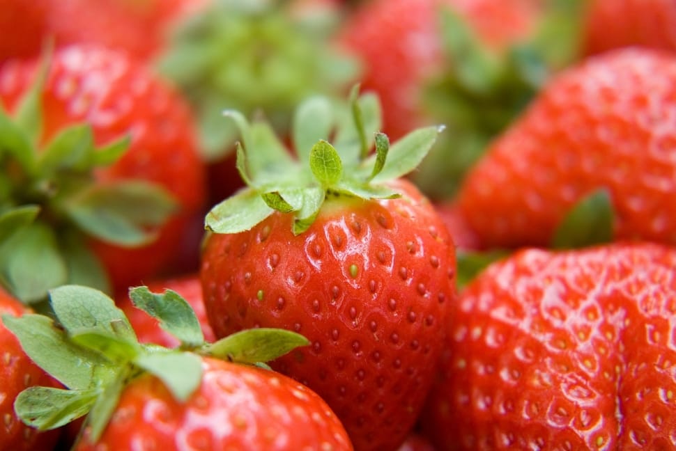 selective focus of Strawberry fruits preview