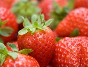 selective focus of Strawberry fruits thumbnail