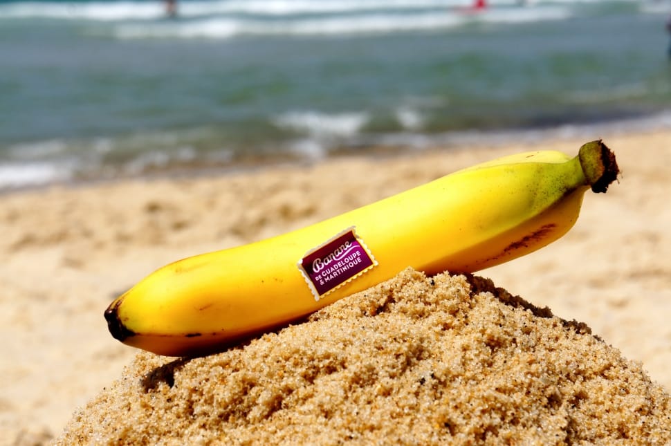 close up photo of yellow banana fruit above white sand preview